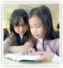 公立小学生小学生コース画像