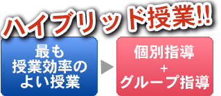 中学生画像
